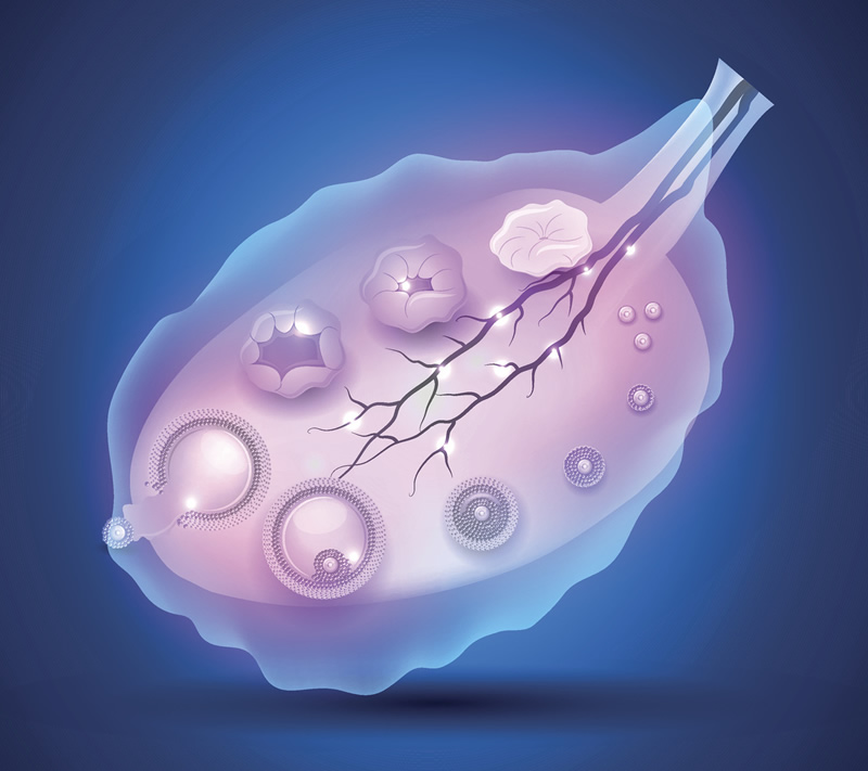 河源三代试管机构哪家好？